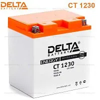 Аккумулятор Delta Energy YTX30L-BS 