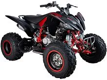 Квадроцикл Mikilon Rapide 250S (Красный)