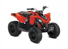 Квадроцикл BRP Can-Am DS 90 2021