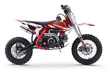 Мотоцикл Progasi KIDS POWER 110 (10/10)